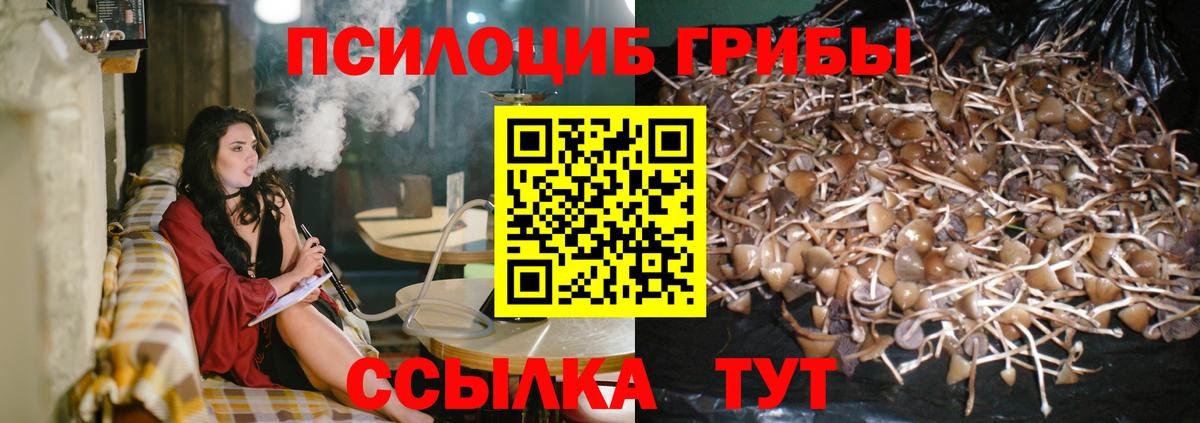Псилоцибиновые грибы прущие грибы Балаково