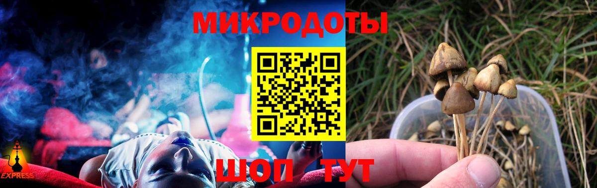 Галлюциногенные грибы Cubensis  Балаково 